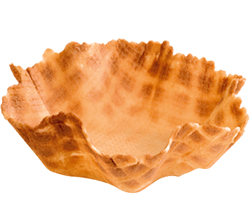 TULIPA GRANDE 100x35 mm C/80 UDS