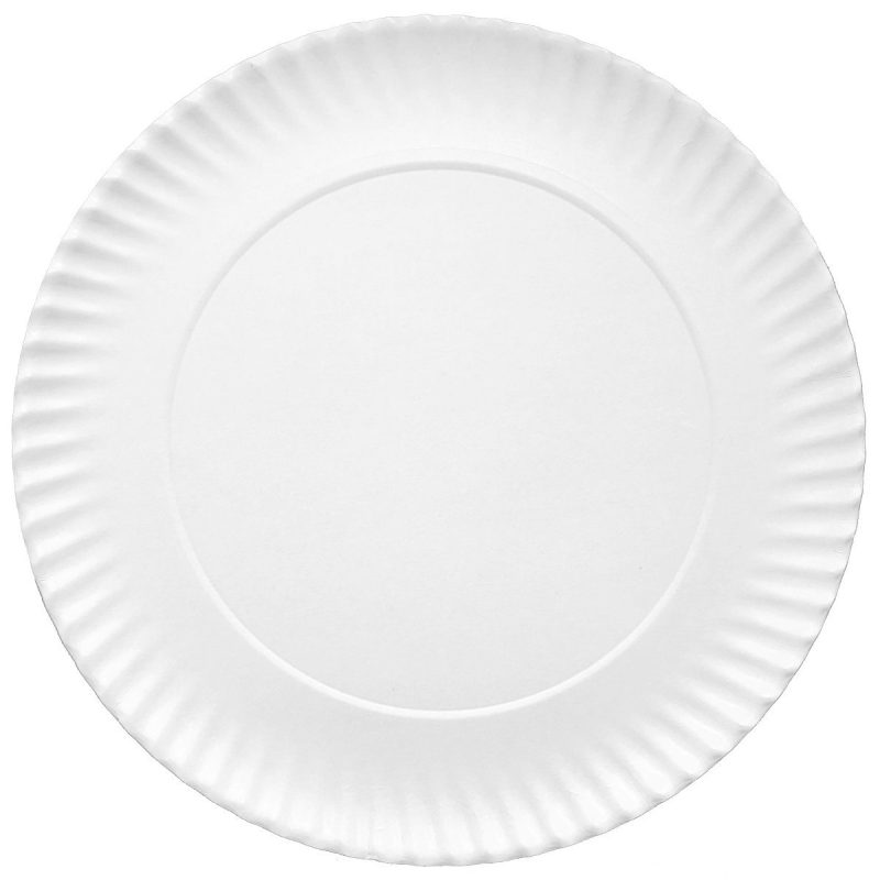 PLATO 25 CM P/100 UND